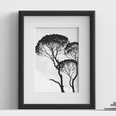 Minimo Range Black Picture, Photo & Poster Frame with White Mount