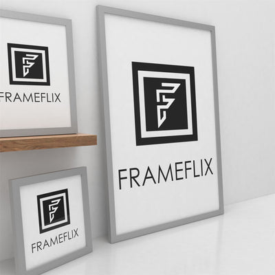 FrameFlix Silver Picture, Photo & Poster Frame