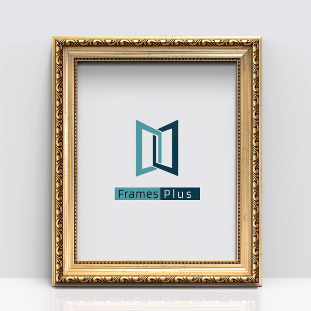 Louis Gold 14 × 11 Frame