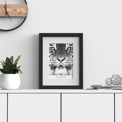 Verona Range Black Picture Photo Poster Frame with White Mount