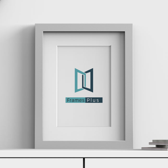 Silver Frames picture frames