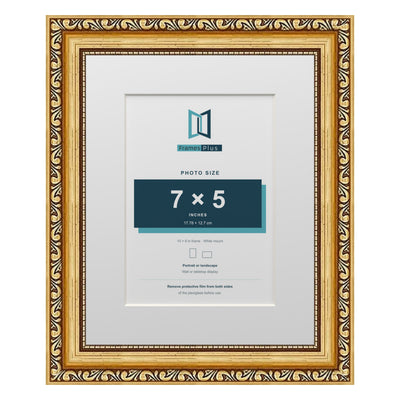 Louis Range Gold Picture, Photo & Poster Frame with White Mount