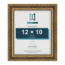 Dahlia Gold picture frame for a 254 x 305 mm photo