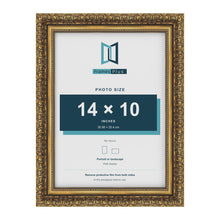 Dahlia Gold picture frame for a 254 x 356 mm photo
