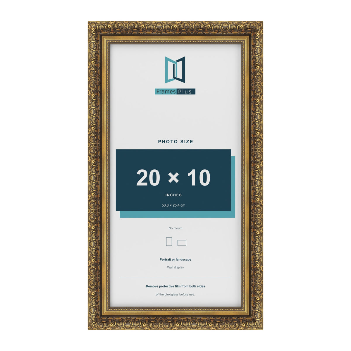 Dahlia Gold picture frame for a 254 x 508 mm photo