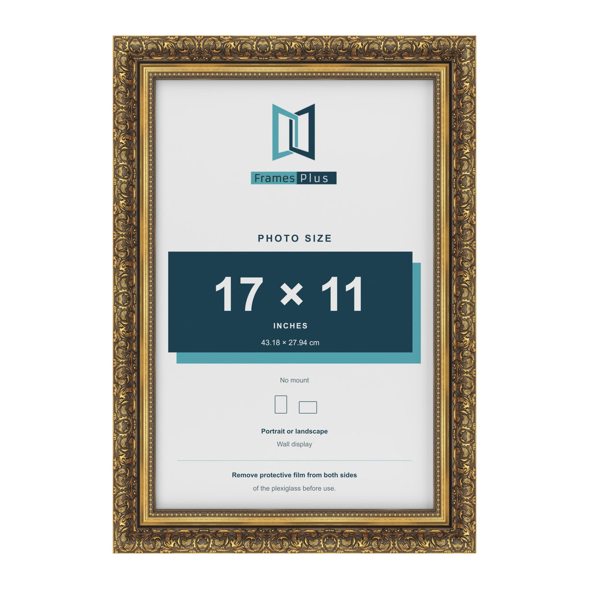Dahlia Gold picture frame for a 279 x 432 mm photo