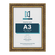 Dahlia Gold picture frame for a 297 x 420 mm photo