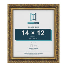 Dahlia Gold picture frame for a 305 x 356 mm photo