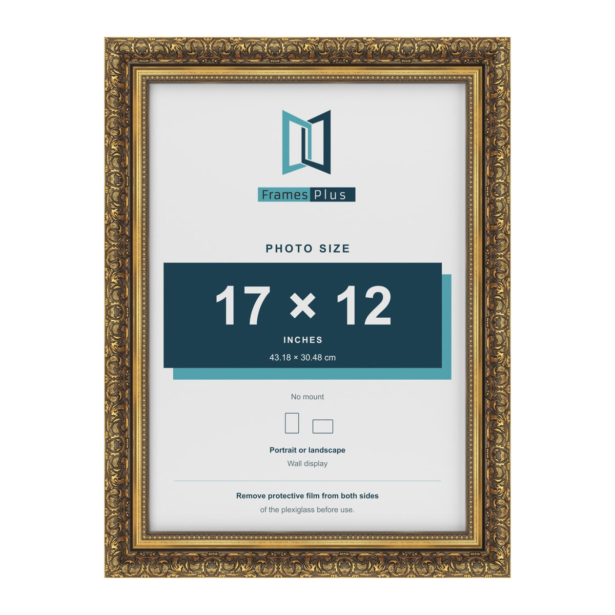 Dahlia Gold picture frame for a 305 x 432 mm photo