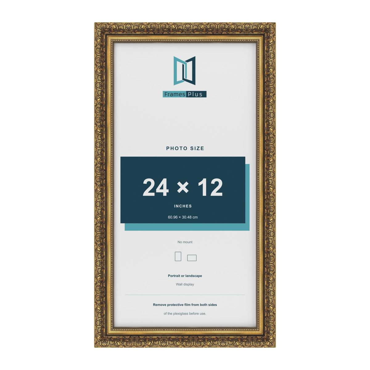 Dahlia Gold picture frame for a 305 x 610 mm photo