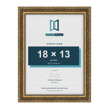 Dahlia Gold picture frame for a 330 x 457 mm photo