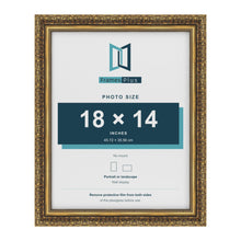 Dahlia Gold picture frame for a 356 x 457 mm photo