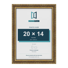 Dahlia Gold picture frame for a 356 x 508 mm photo