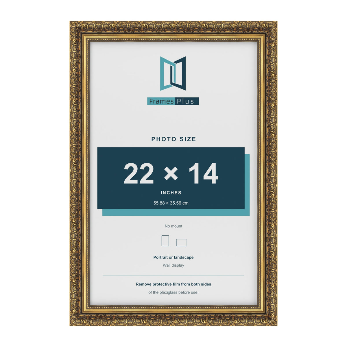 Dahlia Gold picture frame for a 356 x 559 mm photo