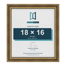 Dahlia Gold picture frame for a 406 x 457 mm photo
