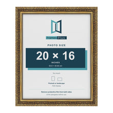 Dahlia Gold picture frame for a 406 x 508 mm photo