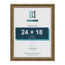 Dahlia Gold picture frame for a 457 x 610 mm photo