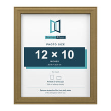 Devon Gold picture frame for a 12 x 10 inch photo