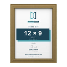 Devon Gold picture frame for a 12 x 9 inch photo