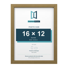 Devon Gold picture frame for a 16 x 12 inch photo