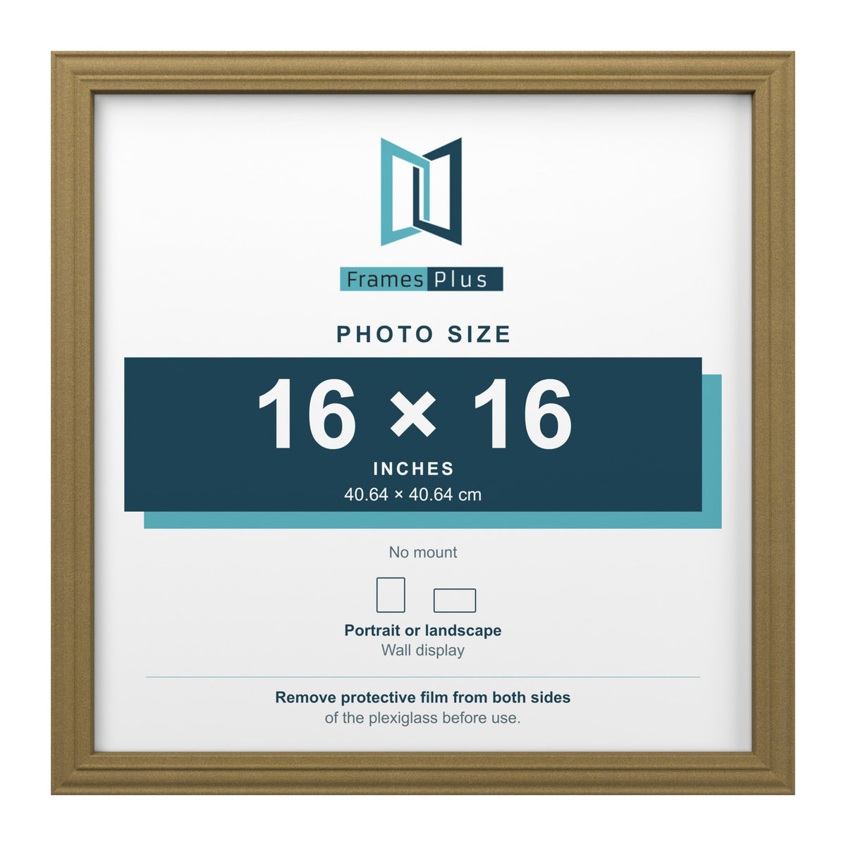 Devon Gold picture frame for a 16 x 16 inch photo