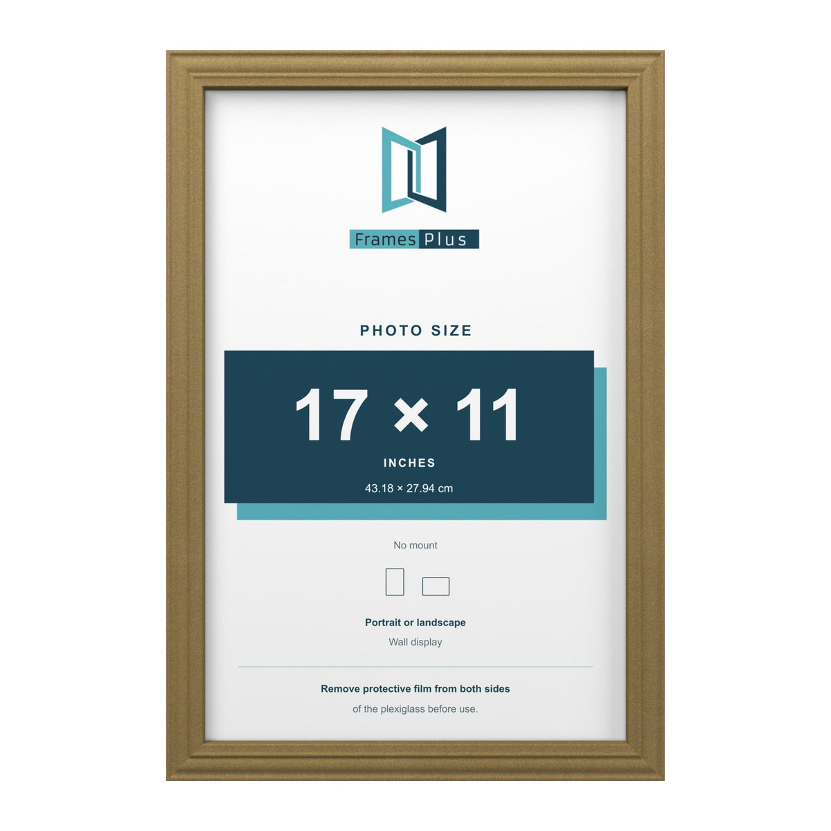 Devon Gold picture frame for a 17 x 11 inch photo