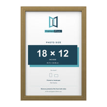 Devon Gold picture frame for an 18 x 12 inch photo