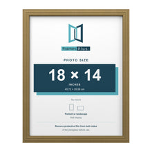 Devon Gold picture frame for an 18 x 14 inch photo