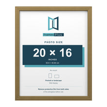 Devon Gold picture frame for a 20 x 16 inch photo