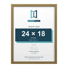 Devon Gold picture frame for a 24 x 18 inch photo