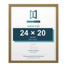 Devon Gold picture frame for a 24 x 20 inch photo