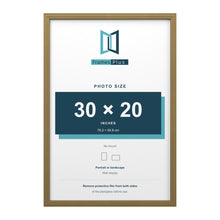 Devon Gold picture frame for a 30 x 20 inch photo