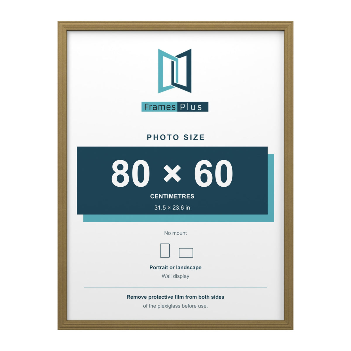 Devon Gold picture frame for an 80 x 60 cm photo