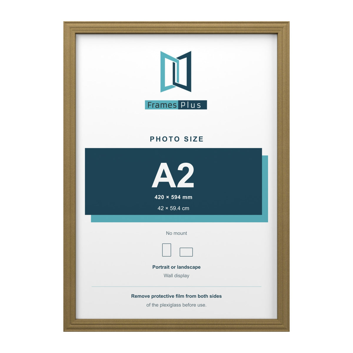 Devon Gold picture frame for an A2 photo
