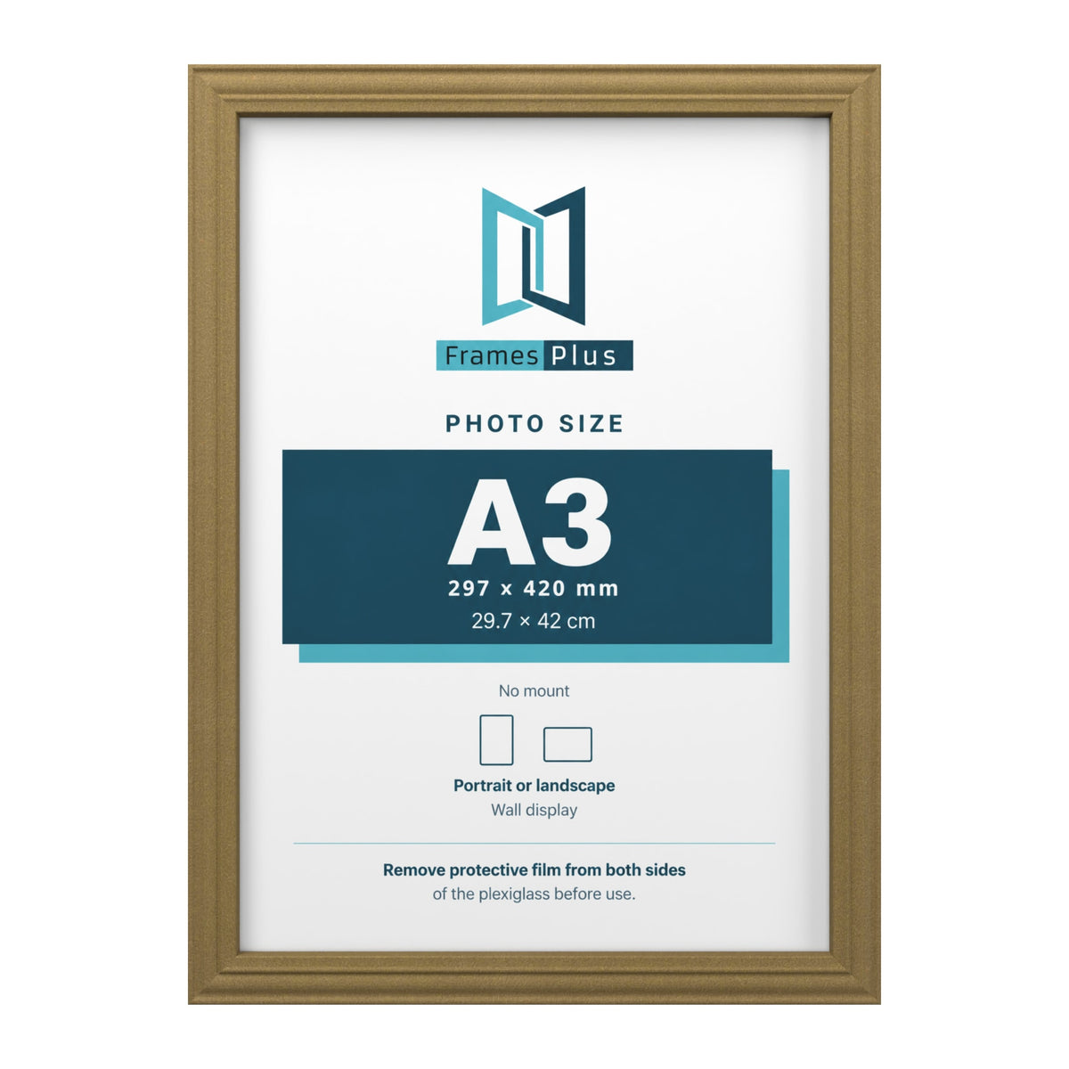 Devon Gold picture frame for an A3 photo