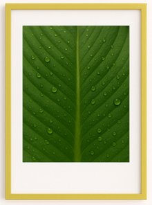 Slim Range Gold Picture, Photo & Poster Frame