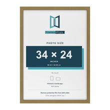 Gold picture frame for a 34 x 24 inch photo