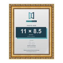 Louis Gold picture frame for an 11 x 8.5 inch photo