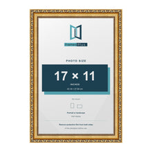 Louis Gold picture frame for a 17 x 11 inch photo