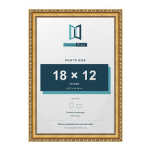 Louis Gold picture frame for an 18 x 12 inch photo