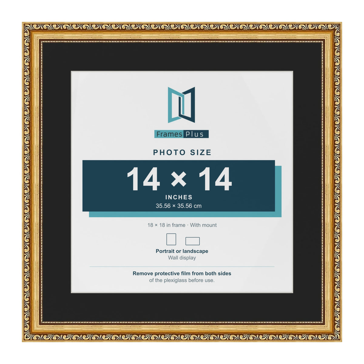 Louis Gold 18 x 18 inch picture frame with a black mount for a 14 x 14 inch photo