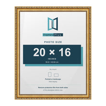 Louis Gold picture frame for a 20 x 16 inch photo