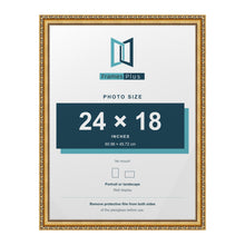 Louis Gold picture frame for a 24 x 18 inch photo