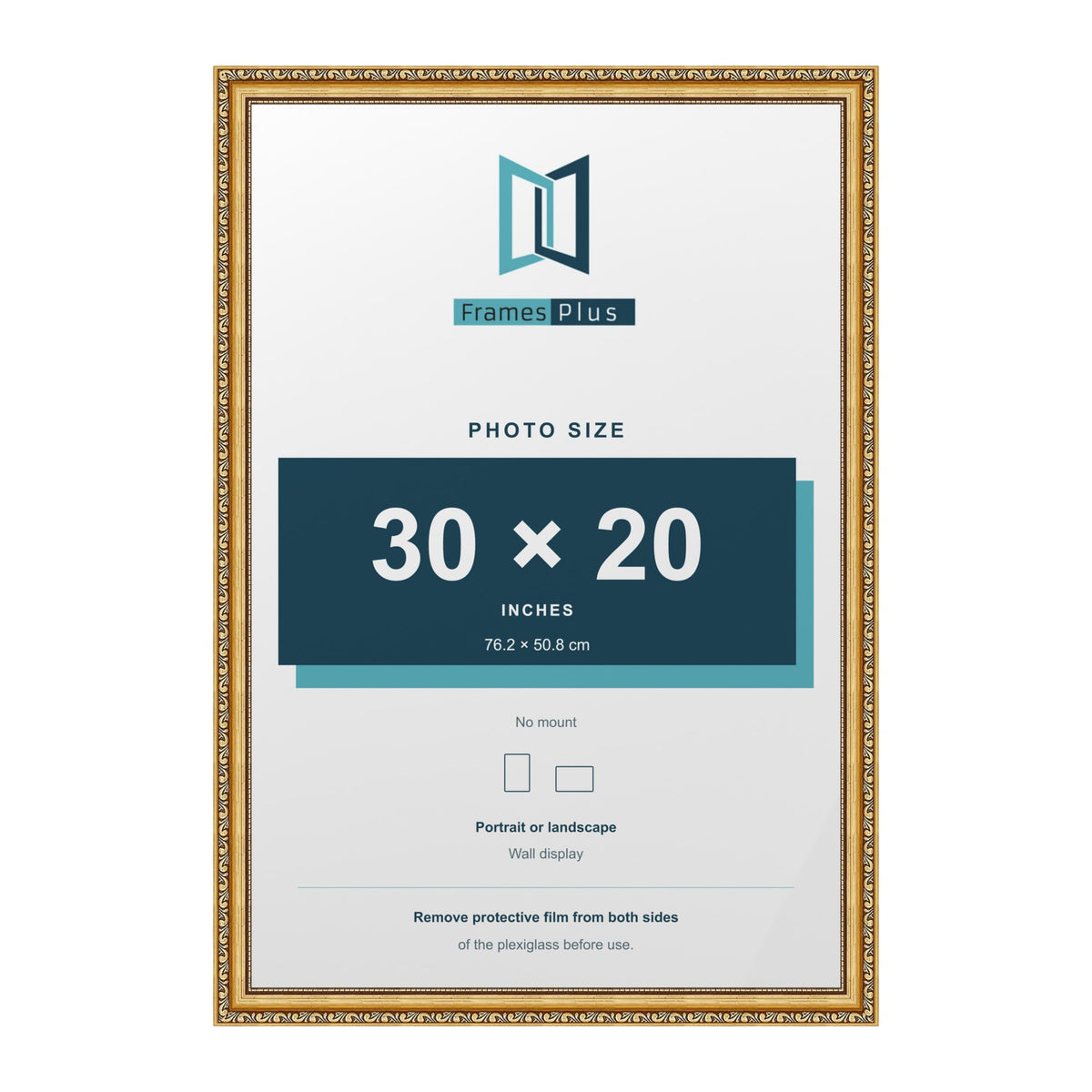 Louis Gold picture frame for a 30 x 20 inch photo