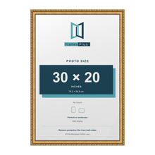 Louis Gold picture frame for a 30 x 20 inch photo