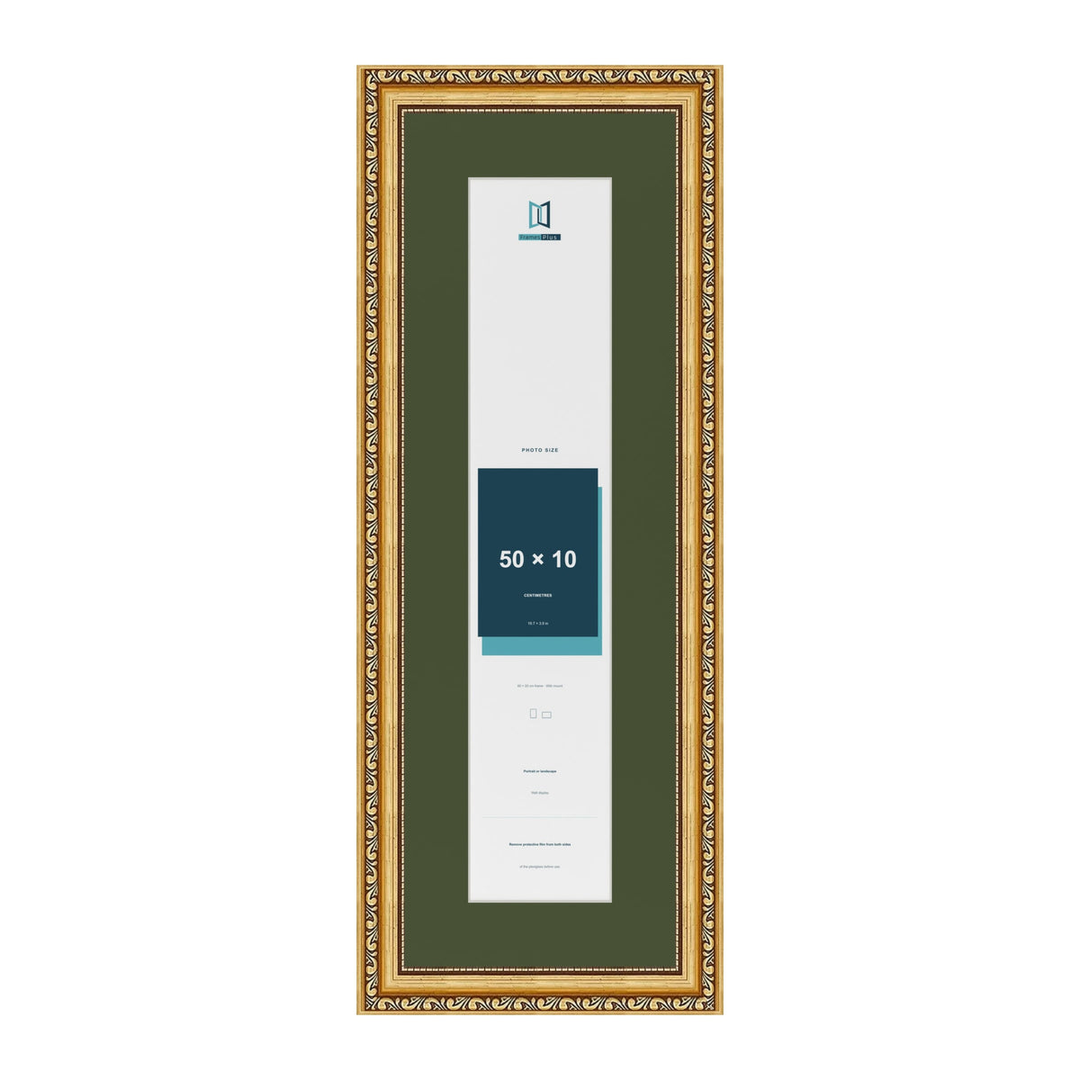 Louis Gold 60 x 20 cm picture frame with a green mount for a 50 x 10 cm photo
