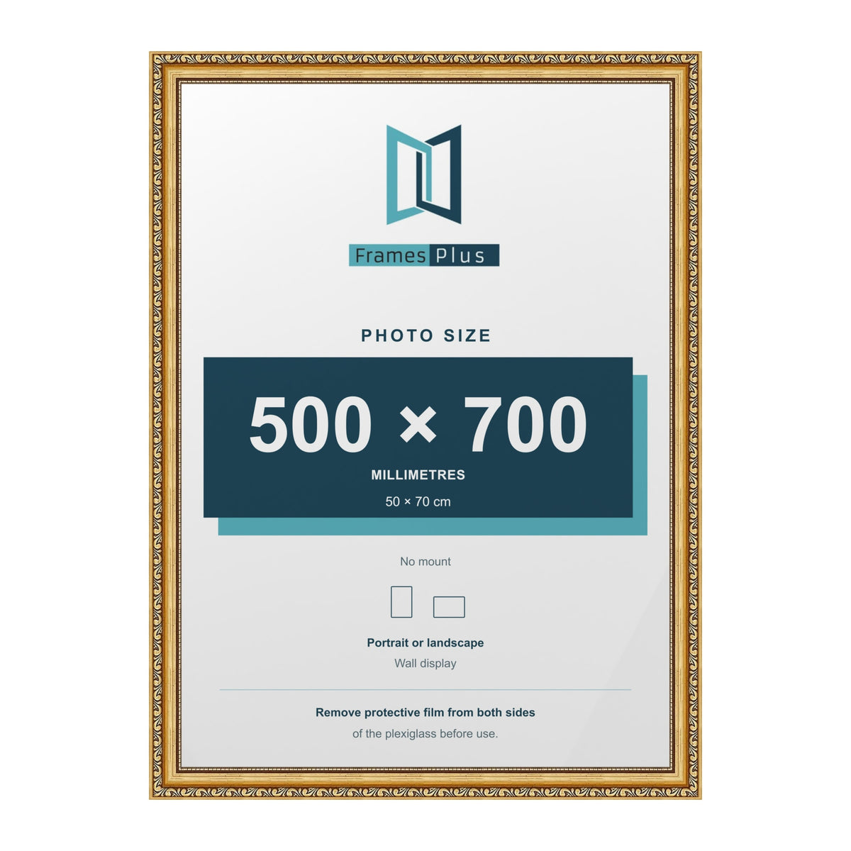 Louis Gold picture frame for a 70 x 50 cm photo
