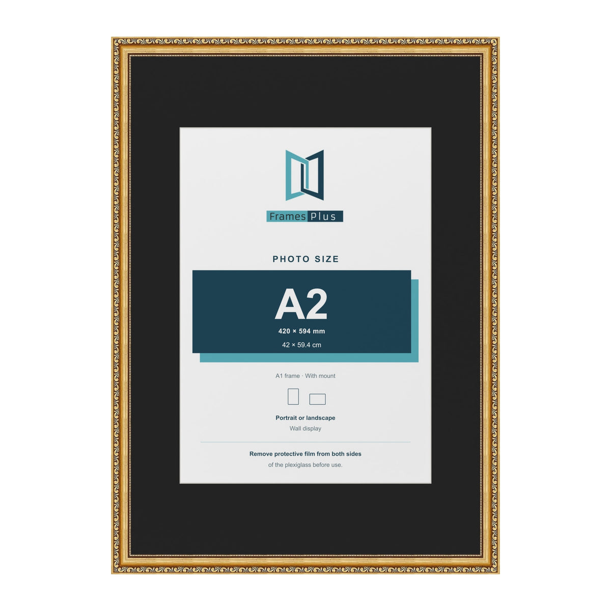 Louis Gold A1 picture frame with a black mount for an A2 photo