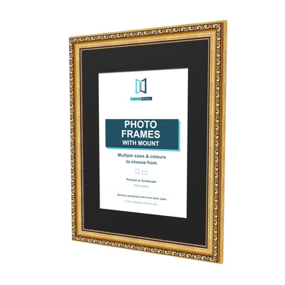 Louis Range Gold Picture, Photo & Poster Frame with Black Mount