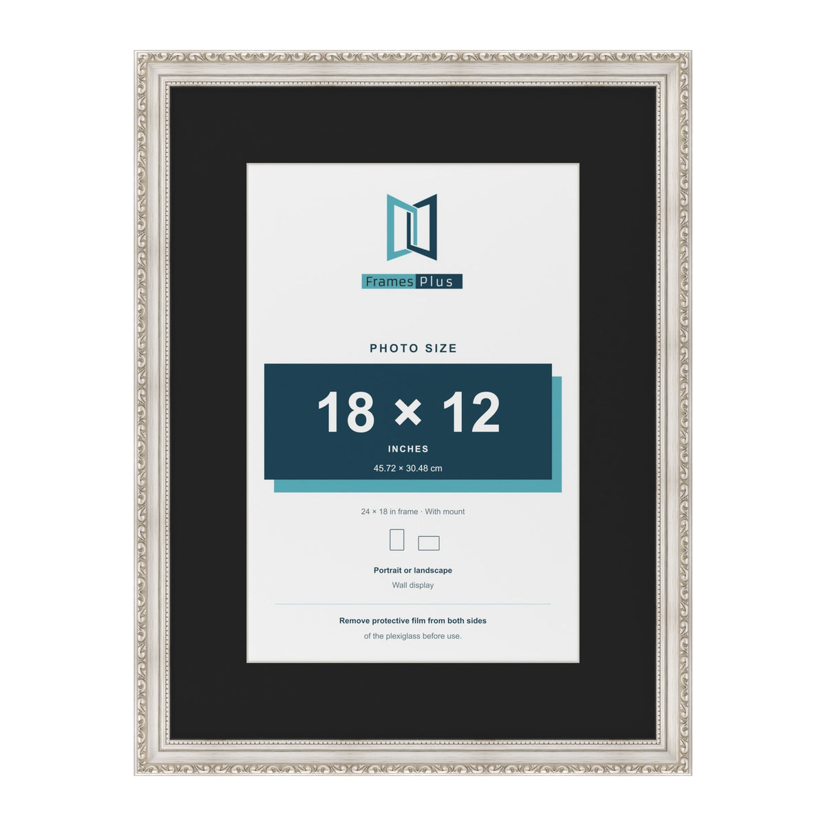 Louis Silver 24 x 18 inch picture frame with a black mount for an 18 x 12 inch photo